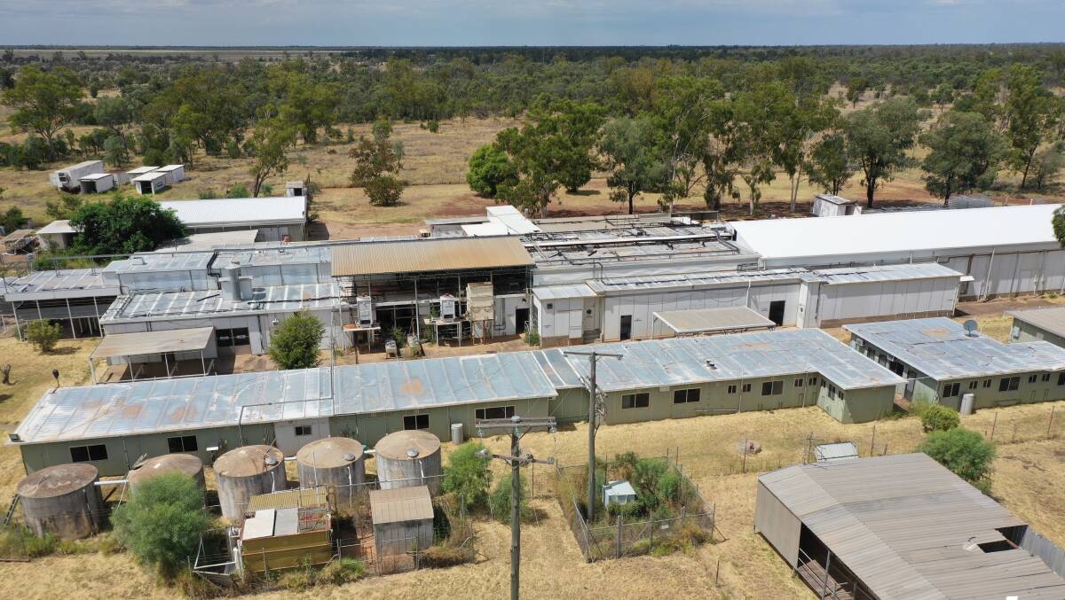 A sheep and goat meatworks in a key supply area has hit to the market, to be sold through an expressions of interest process. Picture - supplied 