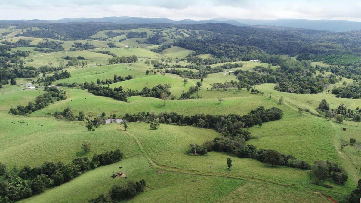 Crediton Hall Farm will be auctioned by Elders in Mackay on June 7. Picture - supplied