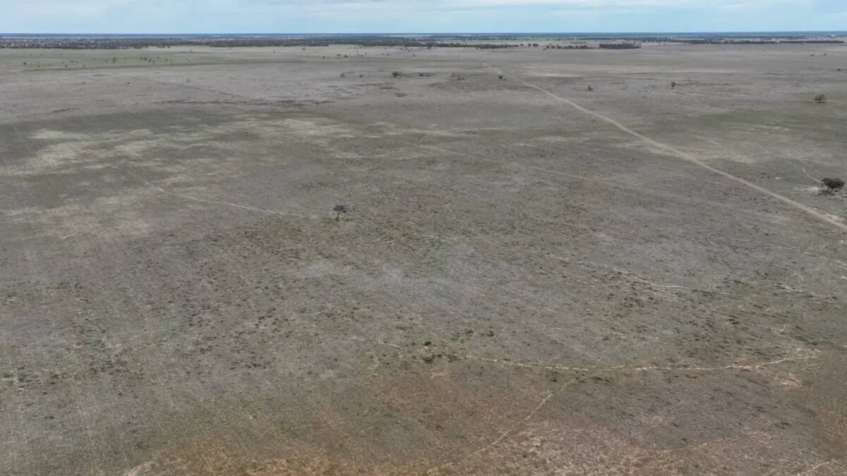 Warrabah is a 3214 hectare Coonamble district property estimated to carry 800 cows and calves with substantial farming potential. Picture supplied