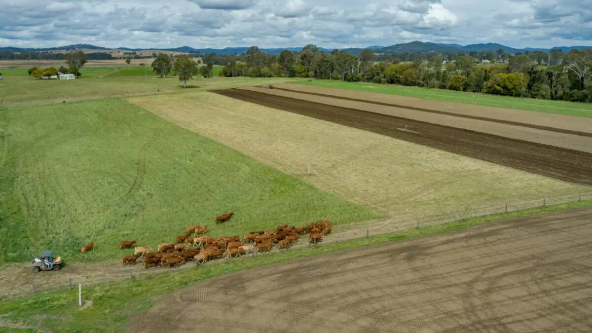 The 183 hectare property is located 6km south of Toogoolawah. 