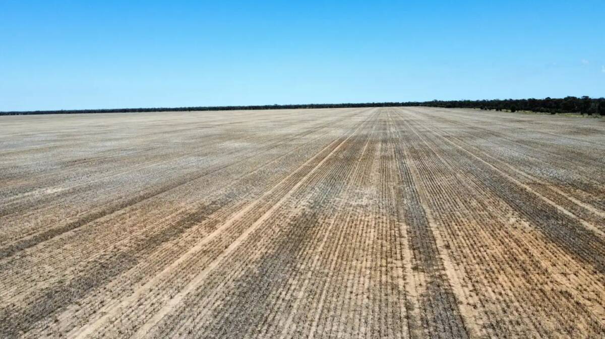 Belara features quality, generally level to gently sloping brigalow, belah and wilga country. Picture supplied
