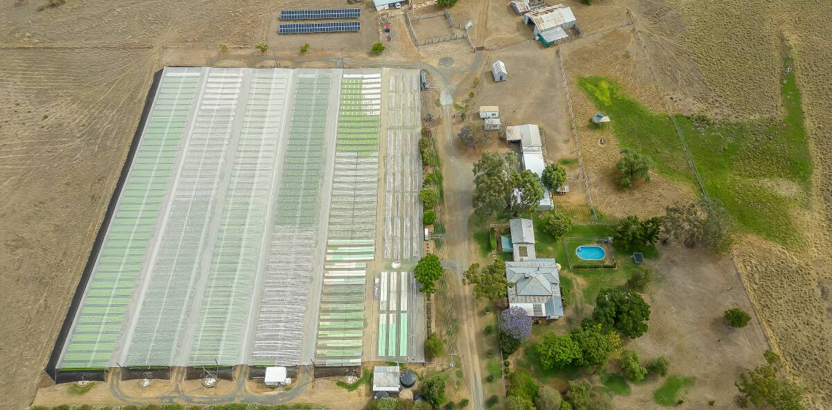 The business has one hectare of netted workspace in place, with six rows of about 110m long vegetable growing channels. Picture supplied