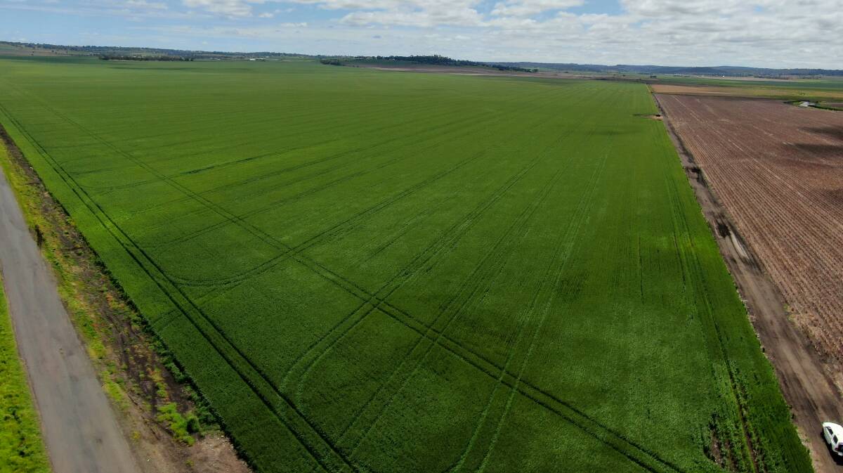 Balandean West is 150 hectares of highly productive farming property in the tightly held Felton Valley. Picture supplied