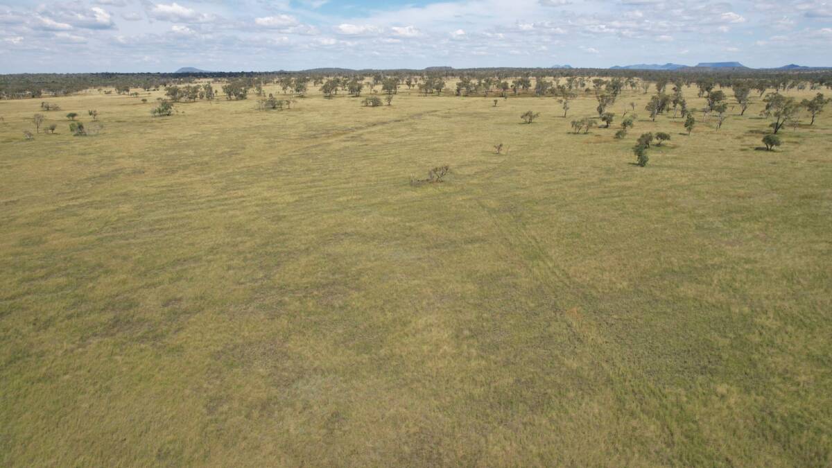 Negotiations are continuing on the highly regarded 11,317 hectare cattle property Fletchers Awl. Picture - supplied