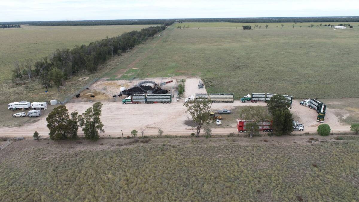 The equipped steel panel cattle yards have all weather access to the highway. Picture - supplied