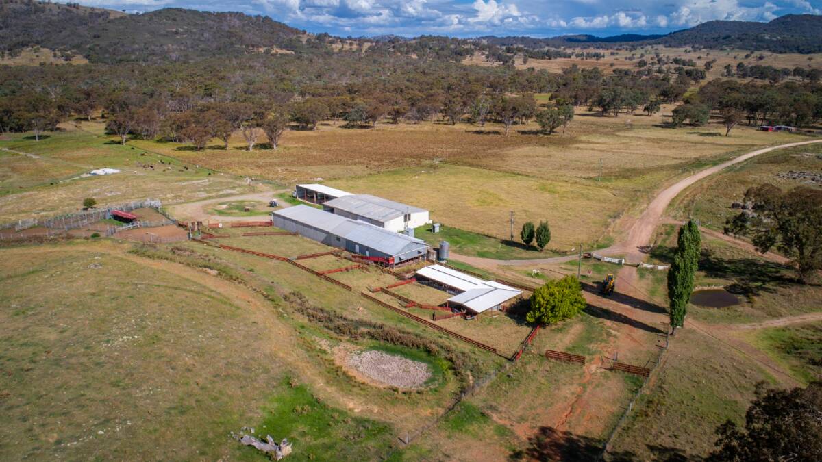 The well improved property has a five stand raised board shearing shed with sheep yards and shedding. Picture - supplied