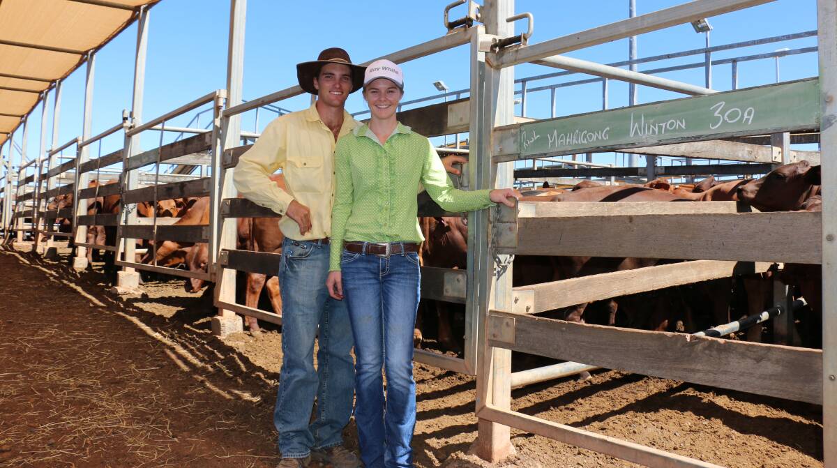 ROMA SALE: Courtney Sheales (right), Sheales Pastoral Co, Mahrigong, Winton, pictured with her valentine AJ Riley from Ray White Livestock, seeing her family’s 169 351kg Santa steers sell for an average of 357c/kg to return $1256/head.