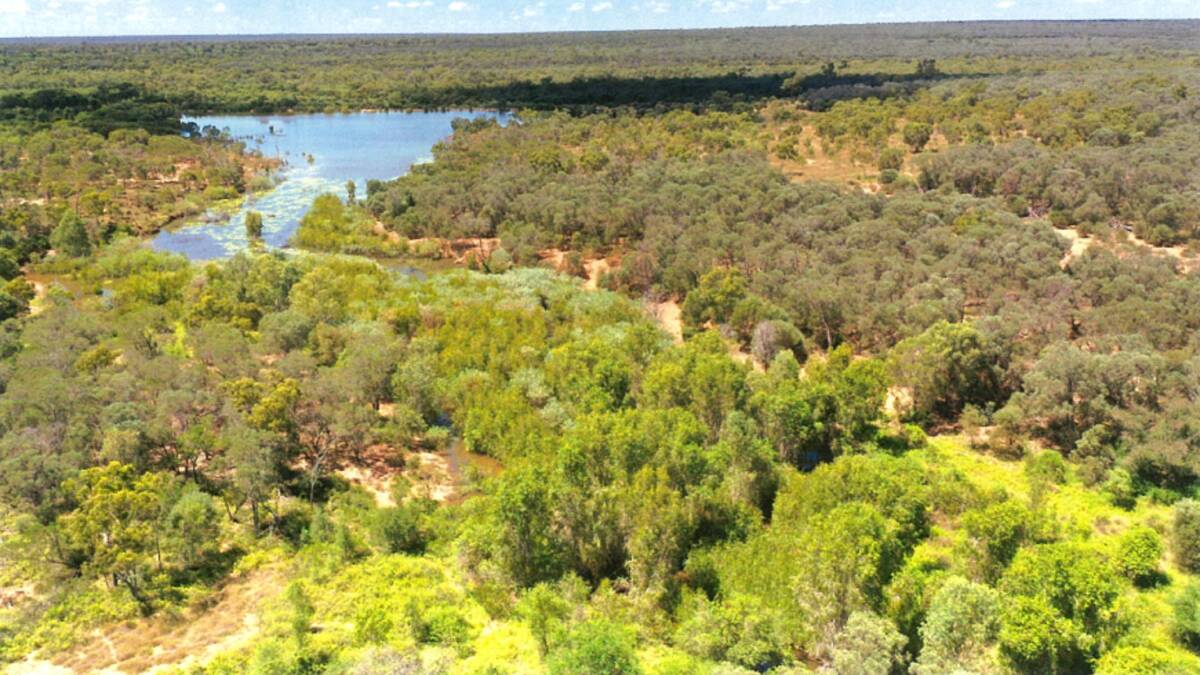 The very well watered property has six bores, eight dams as well as seasonal waterholes in the Hann, Percy and Gaines creeks and springs. Picture - supplied