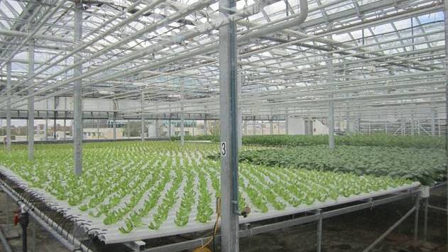 The high-tech Lufa Farm horticulture rooftop farm in Montreal, Canada.