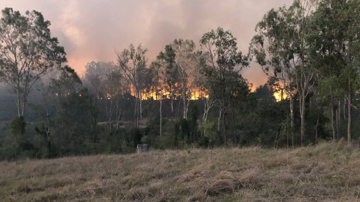 Bush fires rip through Central Qld grazing leases
