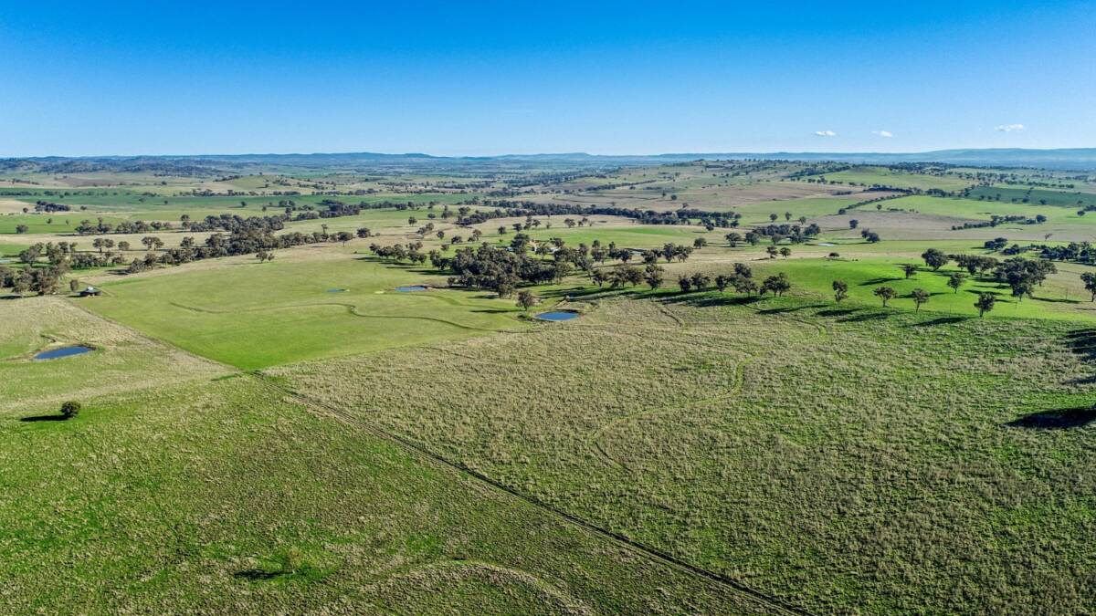 The very well fenced property has 20 main paddocks and four holding paddocks. Picture supplied