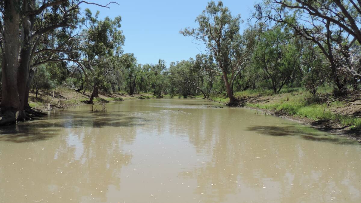Ramona is described as extremely well watered with a bore, and seasonal waterholes. 