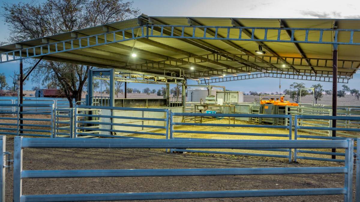 The heavy duty 650 head capacity steel cattle yards are well equipped. Picture supplied