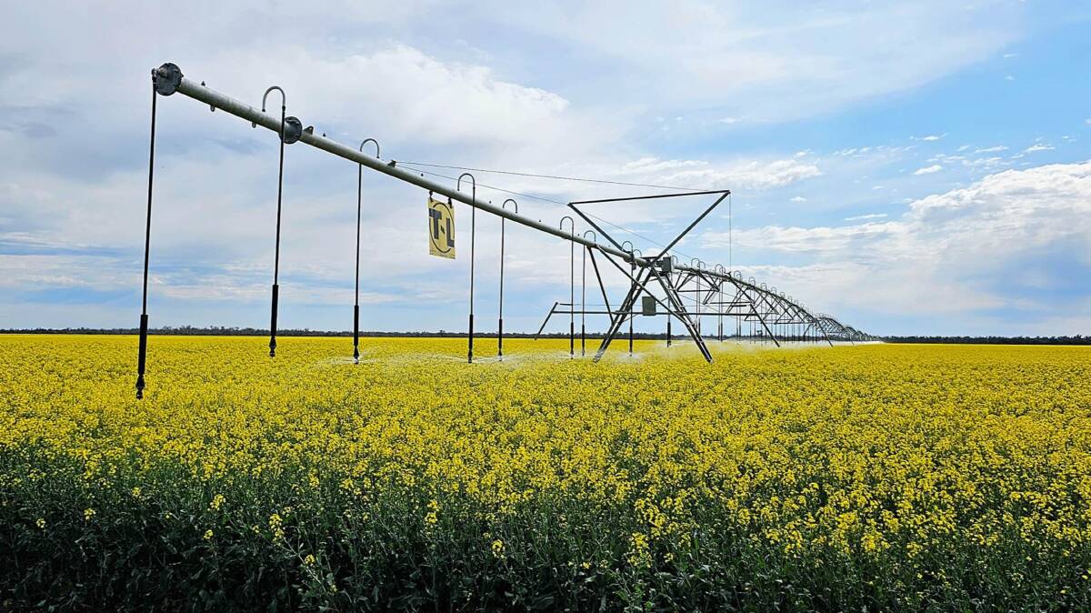 The cropping operation is underpinned by two T&L lateral irrigators, which cover about 680ha. Picture supplied