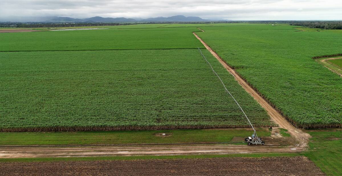 PROSERPINE: The Faust family's farming enterprise covers 3134 hectares with 3119 megalitres of water entitlements.