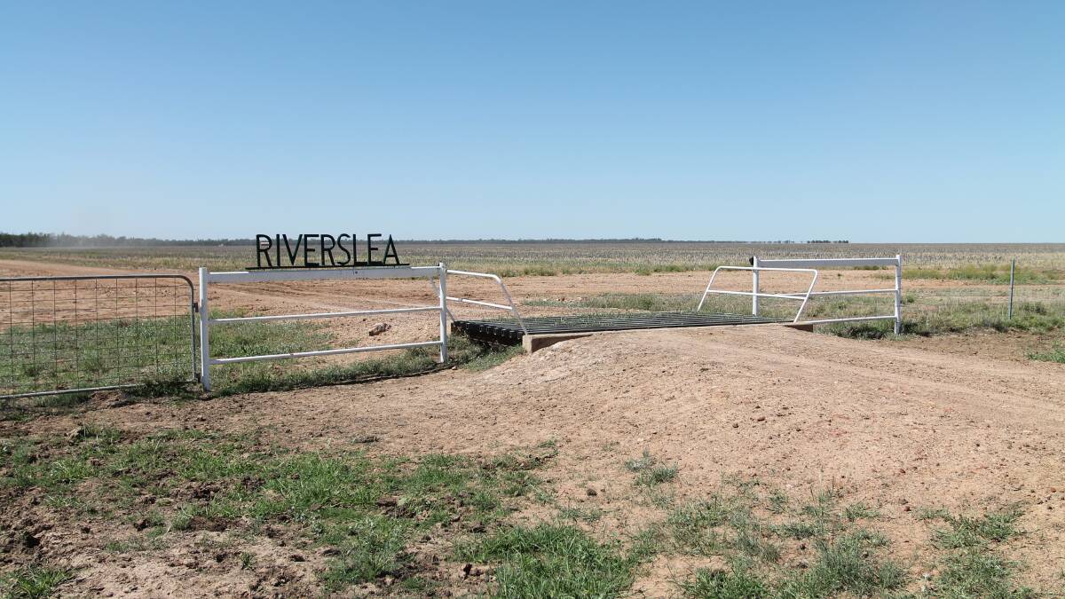 Riverslea passed in for $6m