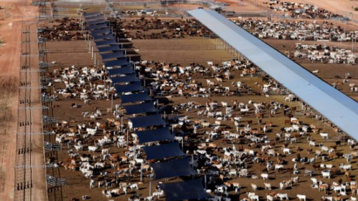 Maryfield is described as a well improved breeding and growing property with a 9800 head feedyard and spelling facilities.