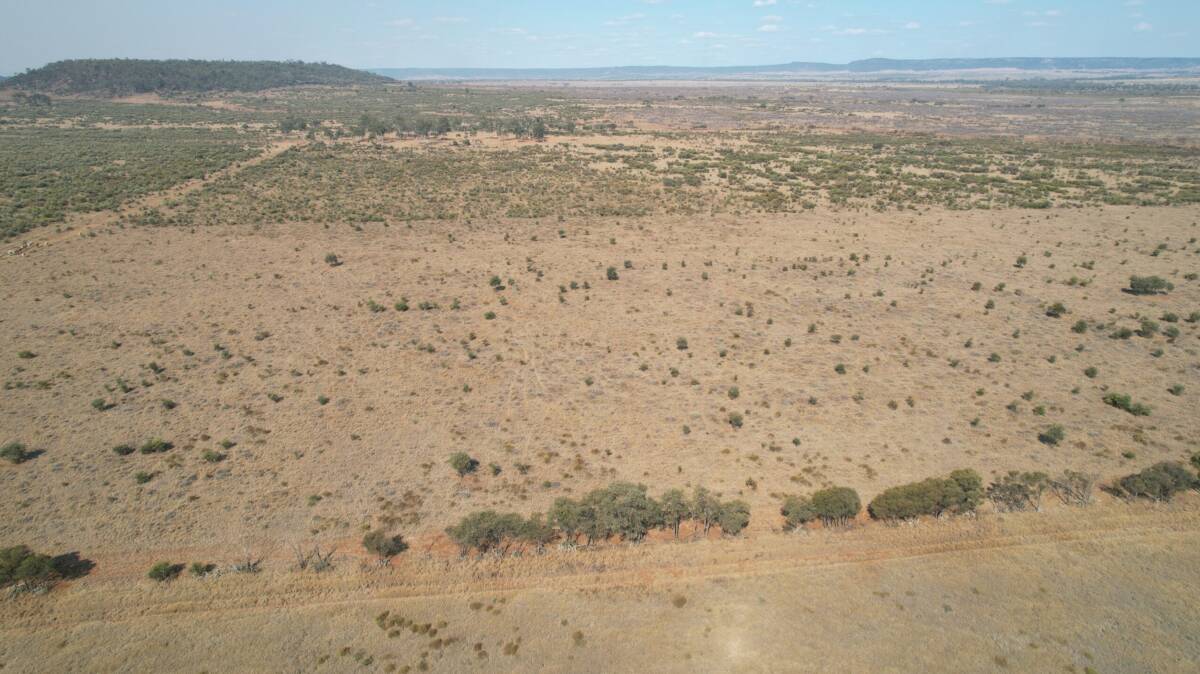 Kulla is a 3785 hectare buffel grass property in the prime Comet-Blackwater-Rolleston triangle. Picture supplied