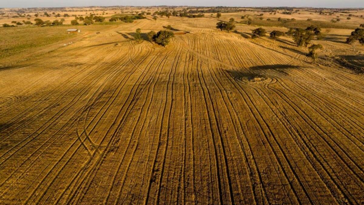 Large scale 1645 hectare grain and grazing operation Warranoy has sold at auction. Picture - supplied