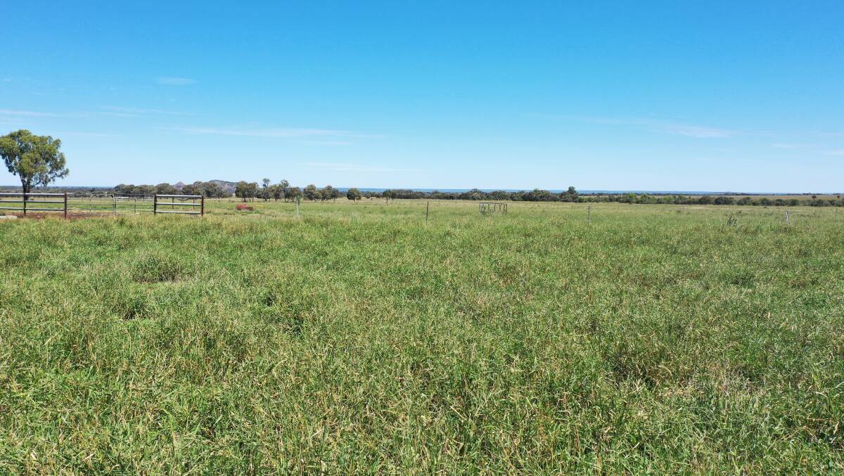 The property is fenced into 15 main paddocks and three holding paddocks. Picture - supplied