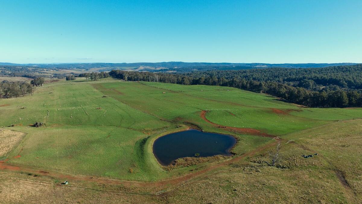 Eastern Hills is a commercial scale cattle and sheep breeding opportunity located in one of eastern Australia's premier high rainfall grazing regions. Picture - supplied