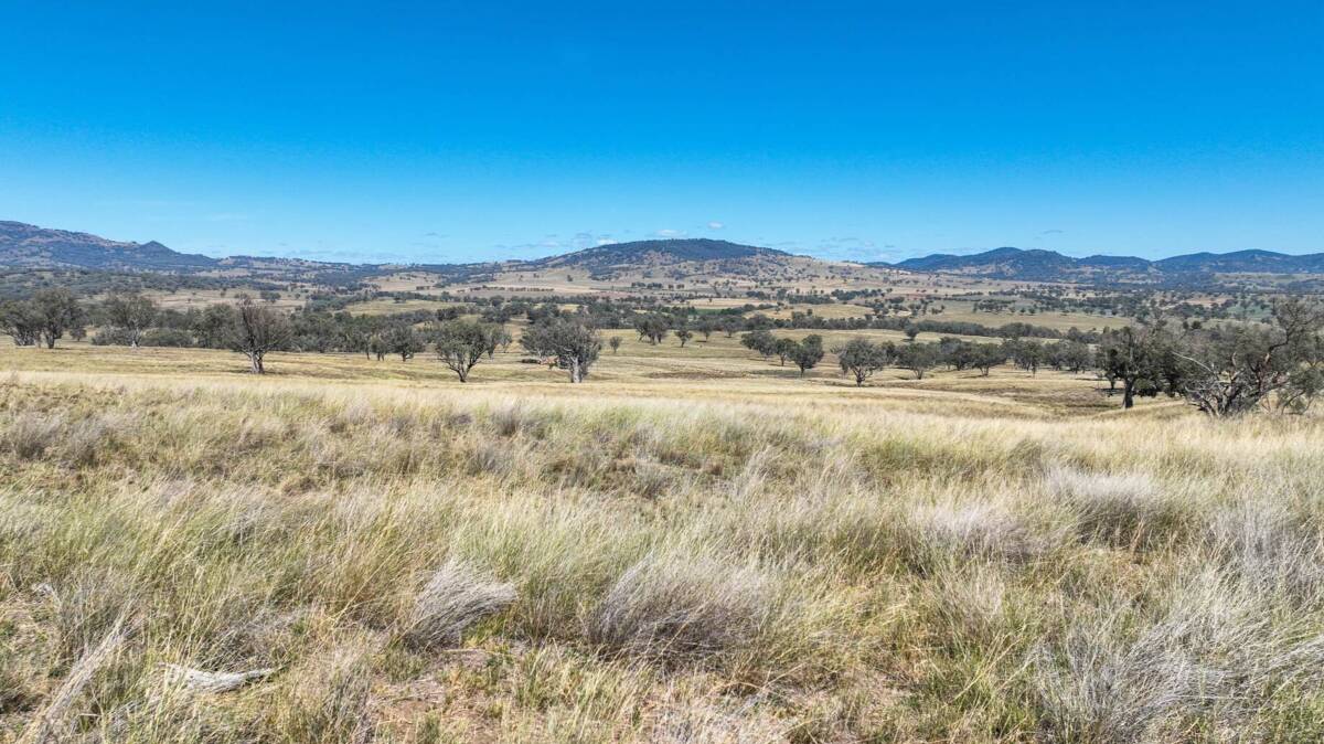 This property has huge potential for further development with improved pastures. Picture supplied