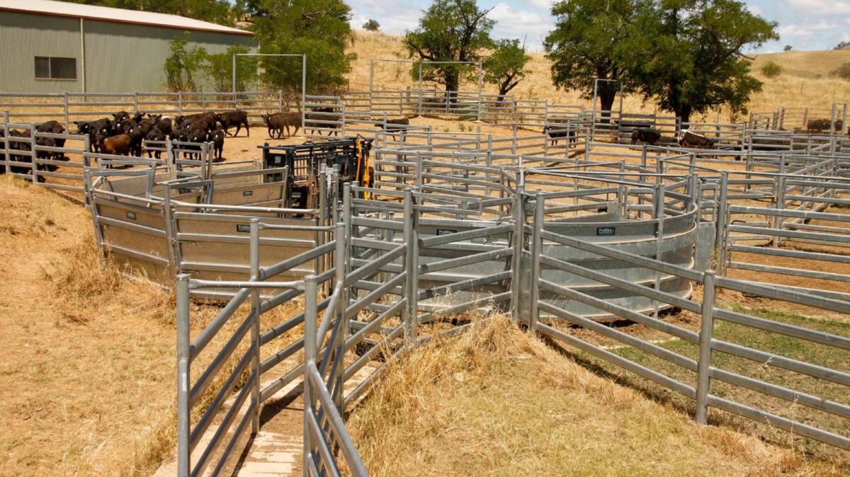 Boambolo is described as having a proven history of running 500 Angus cows and followers. Picture - supplied.