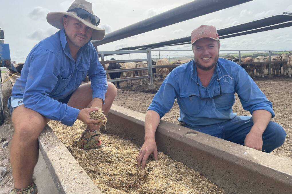 Nathan McKillop and Sam Budd checking out the feedlot ration.