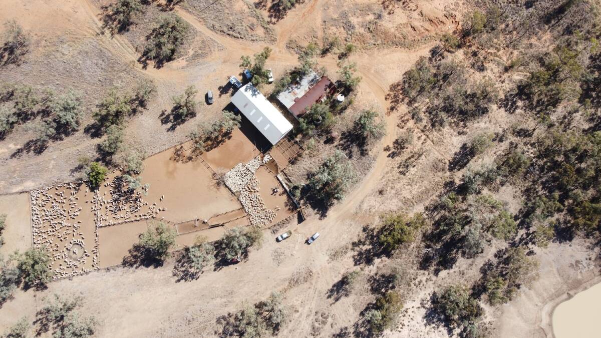 Improvements on the Burrenbah aggregation include a four stand shearing shed. Picture supplied 