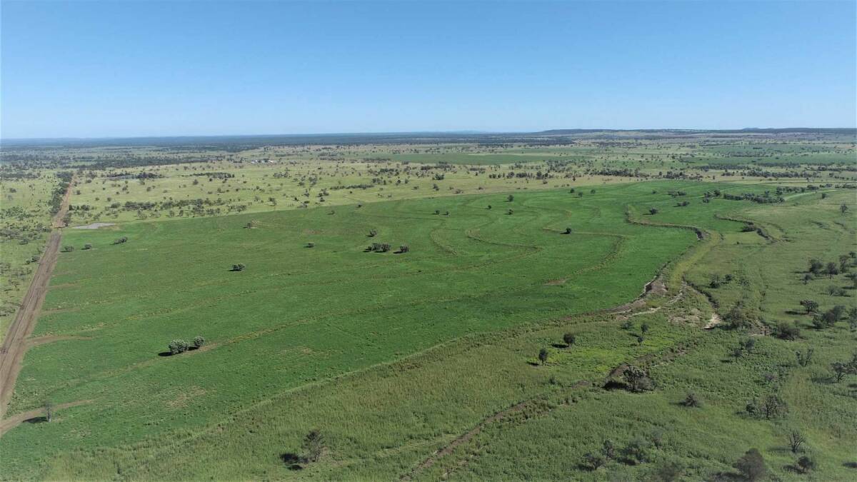 MARANOA COUNTRY: Well Gully will be auctioned by Nutrien Harcourts in Roma on June 3.