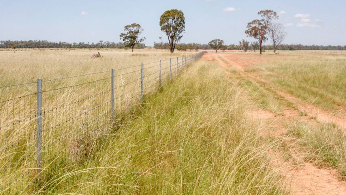 All of the fences on the property have been renewed in the past three years, including 80km of new exclusion fence. Picture - supplied