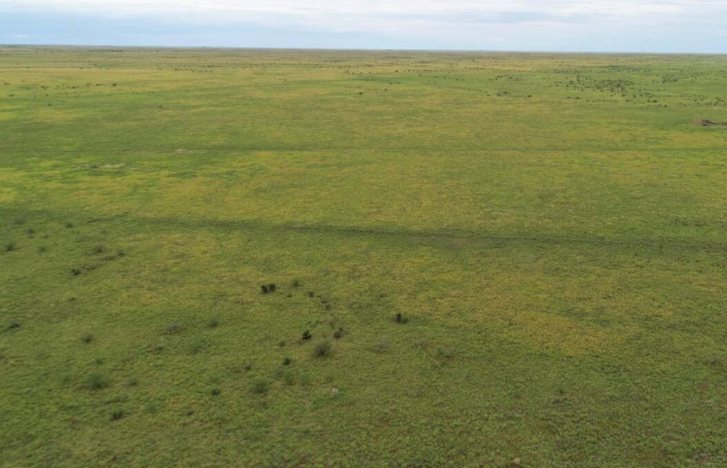 Ophir Downs is a 9631 hectare Grazing Homestead Perpetual Lease. Picture - supplied