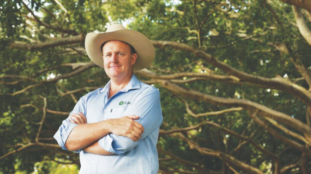 Beef industry identity Troy Setter has heavily promoted the use of pain relief in the livestock industry.