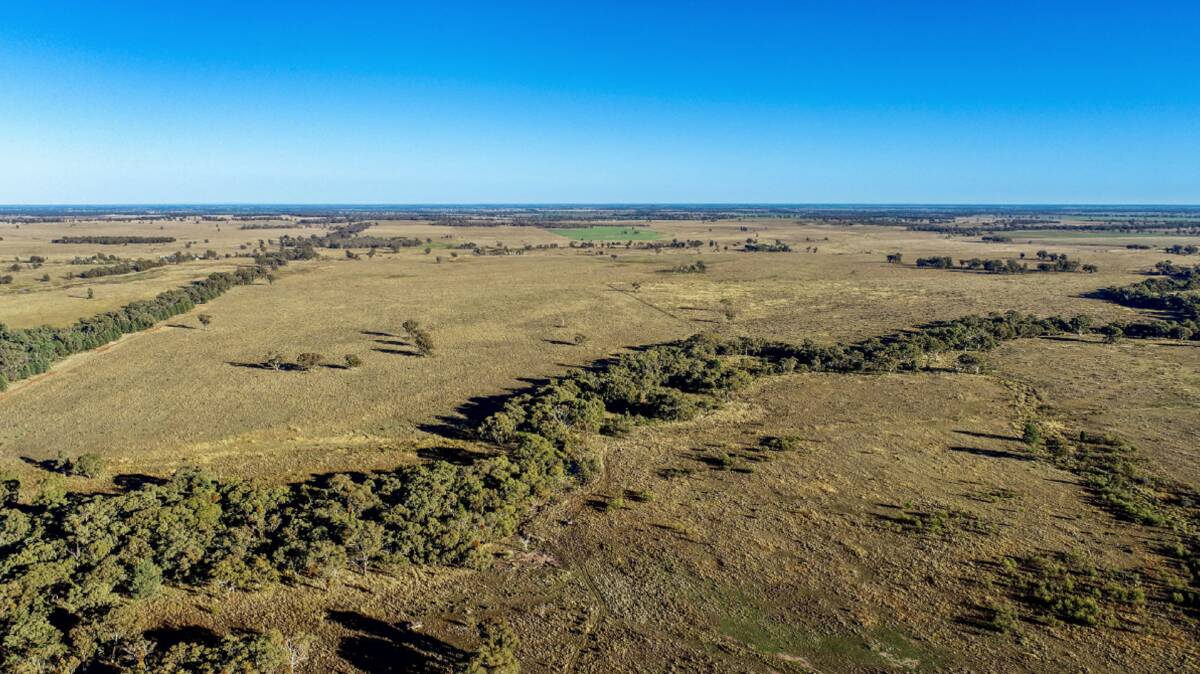 Belmont is a very well located 1206 hectare grazing property located about 20km south east of Narromine. Picture supplied 
