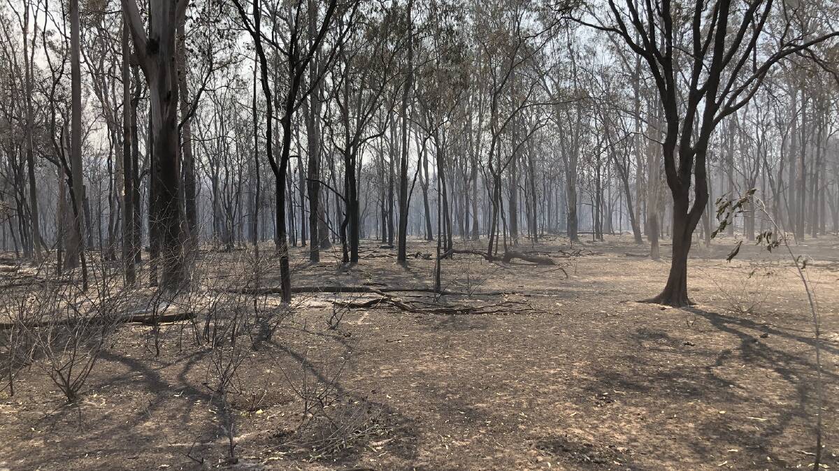 Agriculture Minister David Littleproud is questioning if the Queensland Government has done enough to make sure fires don’t spread from National Parks onto farms.