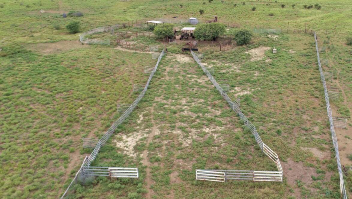  There is a good set of cattle yards on Ophir Downs. Picture - supplied