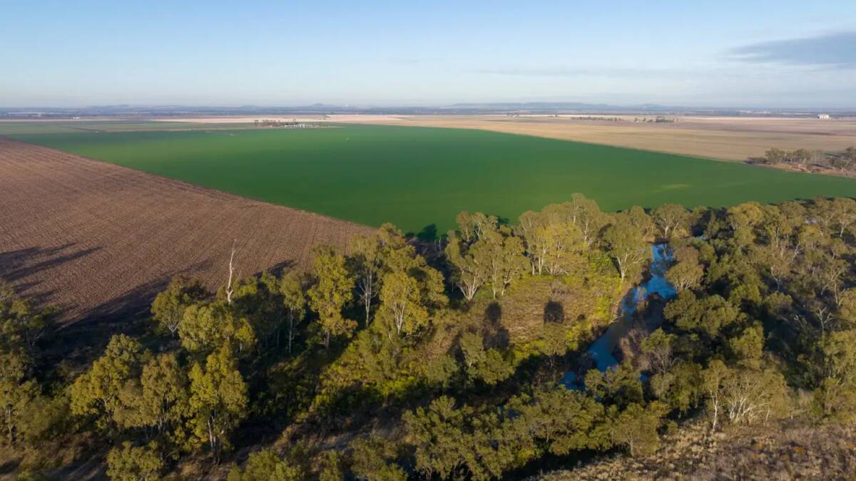 Bethel is well recognised as having some of the best soils Queensland's famed Darling Downs has to offer. Picture supplied
