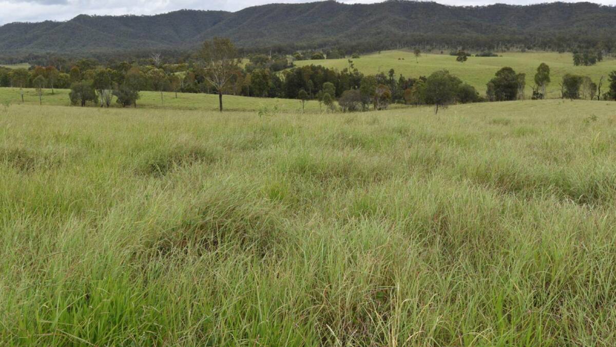 The freehold property has about 1200 hectares of outstanding improved pastures. Picture - supplied