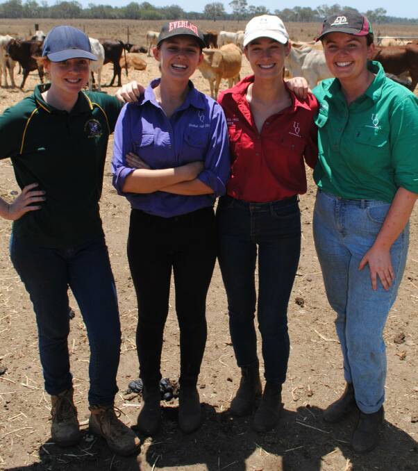 Third year University of Queensland Gatton campus vet students Amanda Miller, Nicole Herd, Lauren Taylor and Erin Baker learning about the practical side of the cattle industry on the Titmarsh family's Maryborough property Tandora.