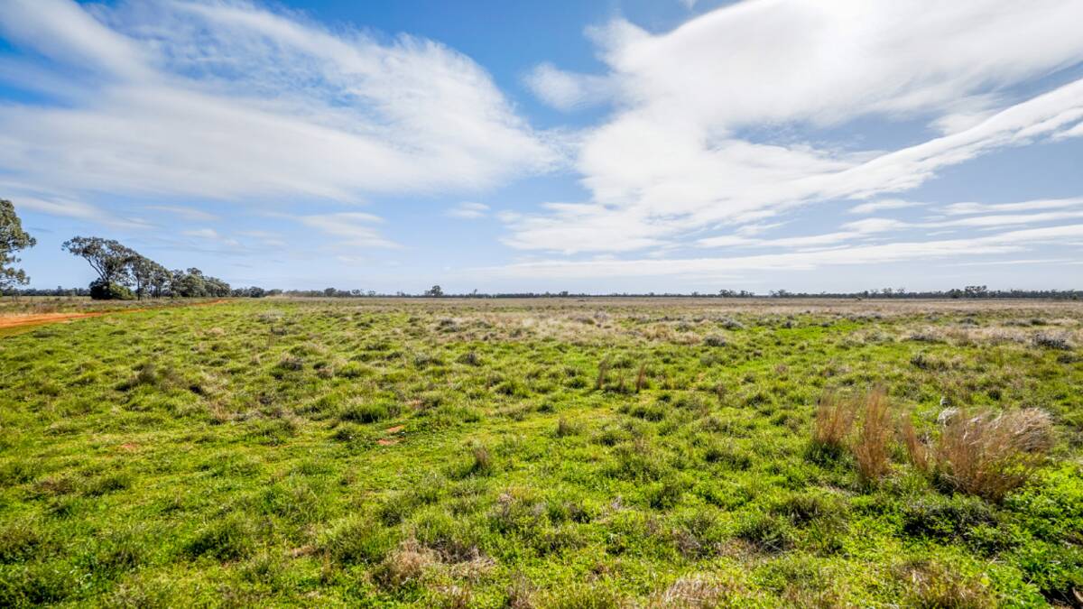 Wilga Park is a mix of open arable grass country, chained country and standing timber.