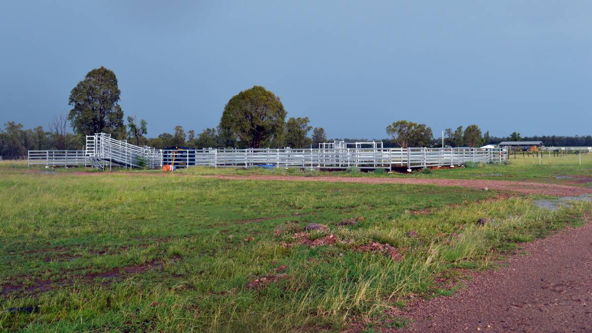 Mundagai has a new set of steel cattle yards with vet crush and scales, four-way draft, and side loading facilities. 