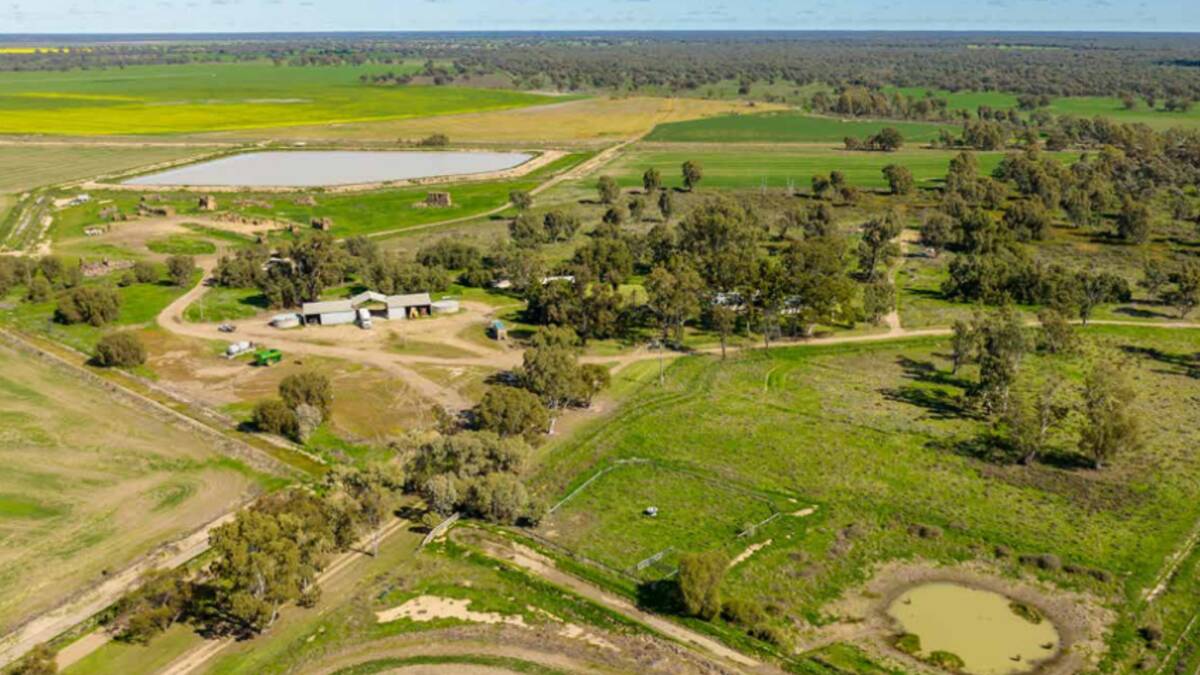 Talkook deatures extensive improvements including a shearing shed, steel cattle yards, grain handling complex, sheds, and fuel storage. Picture supplied