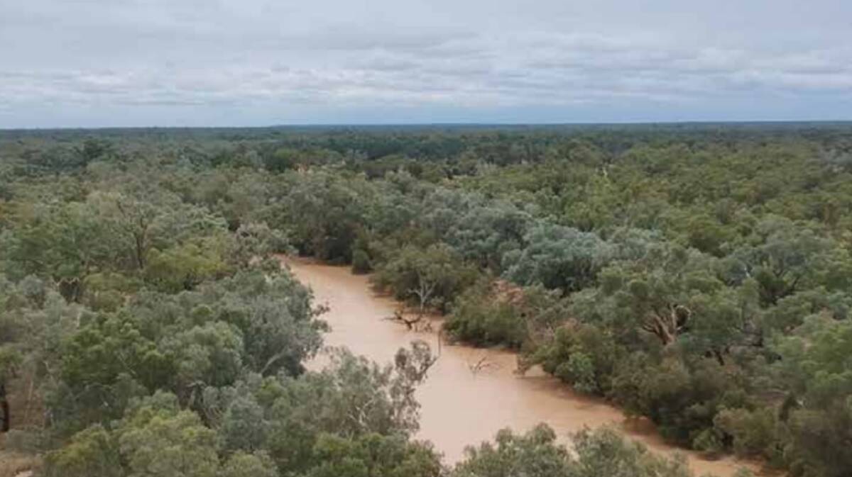 There are permanent water holes in the Warrego River. Picture - supplied