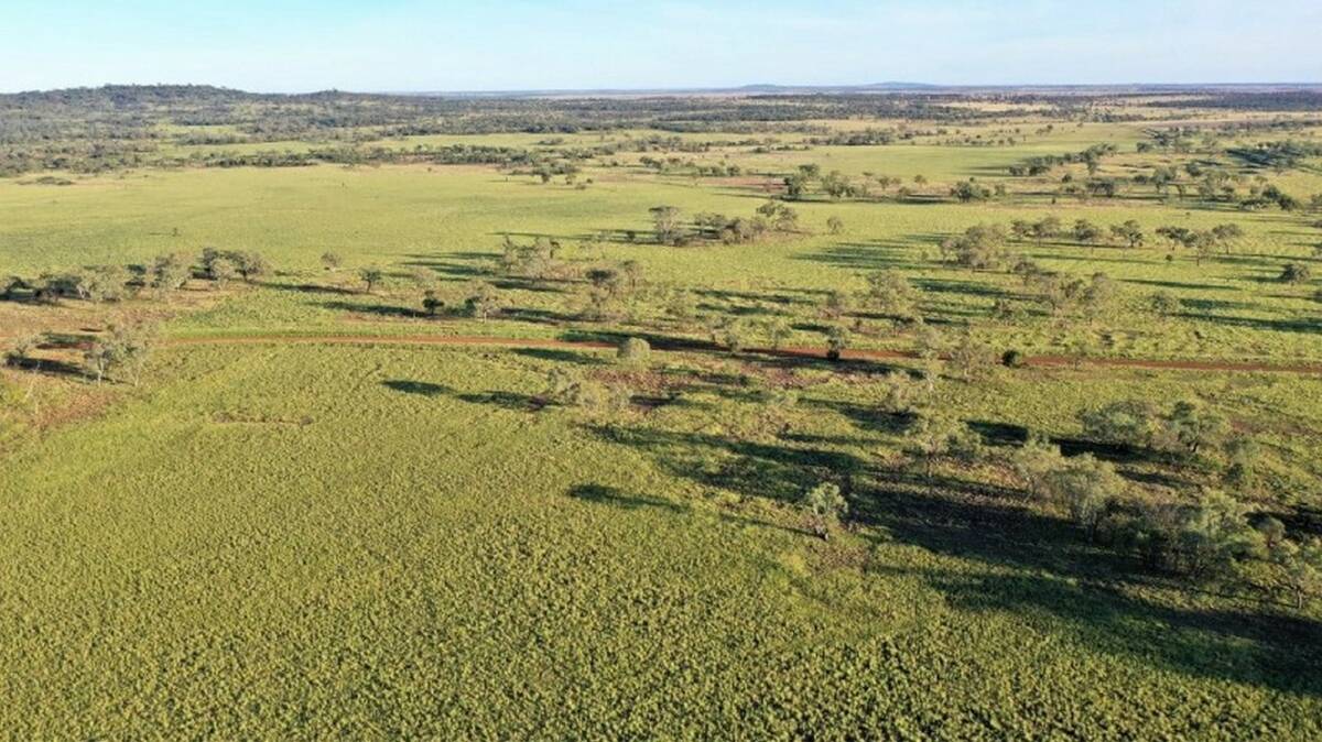 RESOLUTE PROPERTY: Exclusion fenced Maranoa property Lorne has sold at auction for $8.42 million.