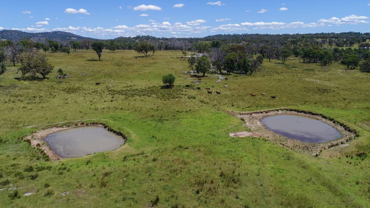 The Runnymede aggregation has 70 permanent and semi-permanent catchments and spring-fed dams providing surface water. Picture supplied