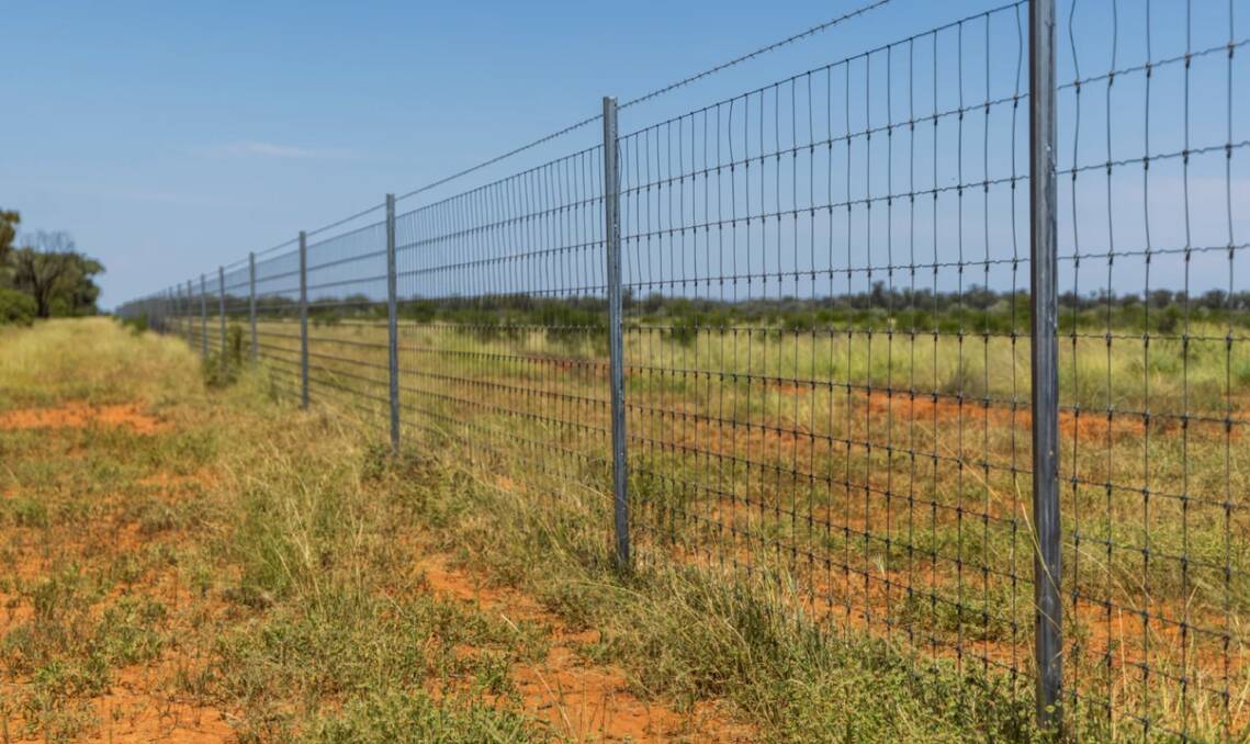 Delmar is well fenced fenced with seven main paddocks, three smaller paddocks, and laneways. Picture supplied