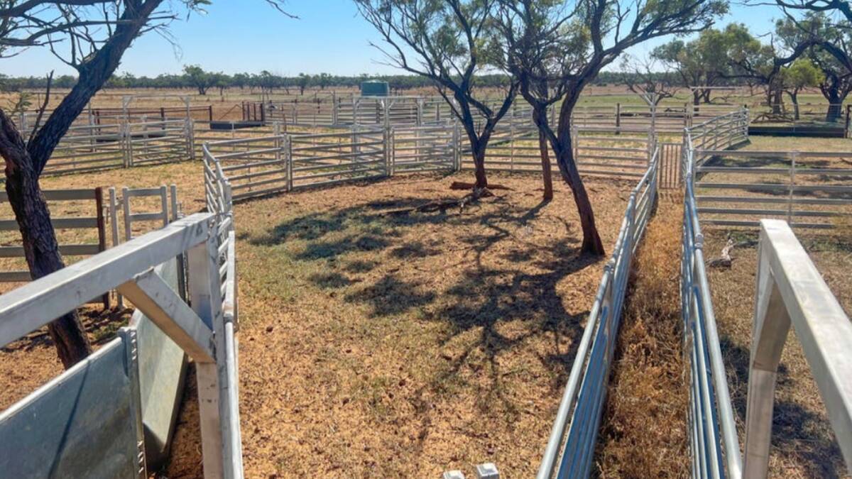 Linamar has cattle yards, sheep yards and a new set of pastoral panel sheep and goat yards. Picture supplied
