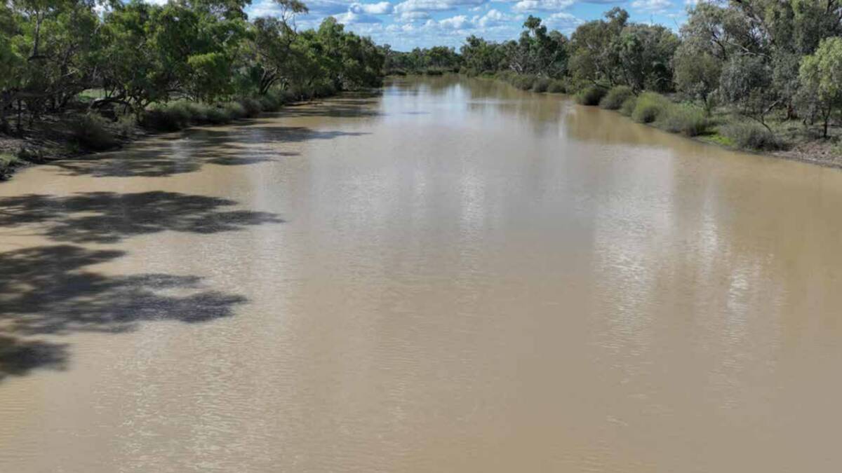 The securely watered aggregation has a 15km of double frontage to the Barcoo River. Picture supplied