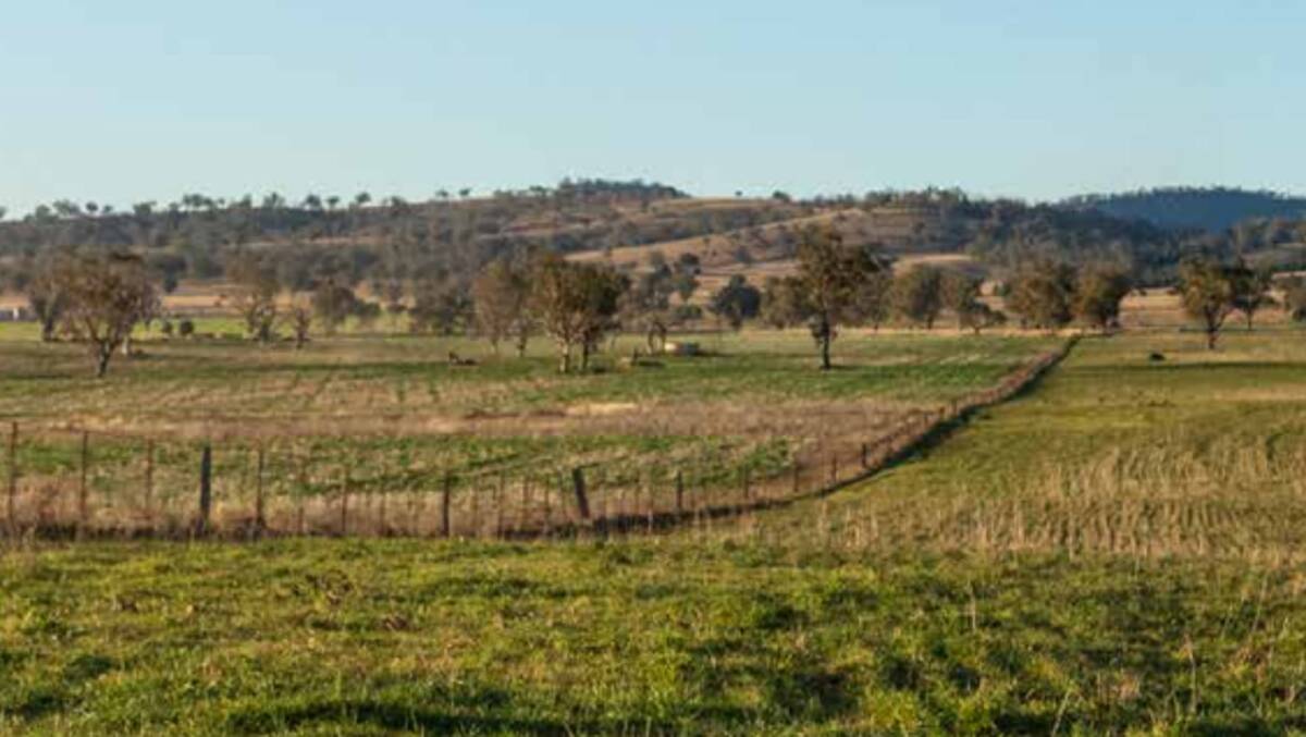 The well fenced properties are divided into 28 paddocks and have been rotationally grazed on a time controlled basis. Picture supplied