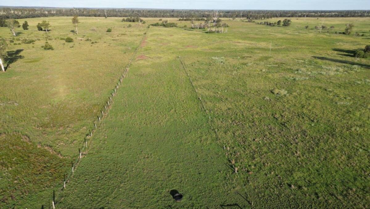 Pastures include a mix of blue grass, buffel and some bambatsi. Picture supplied